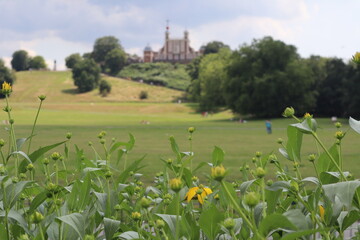 green hilly field in Greenwich London
