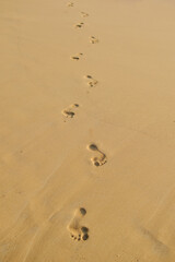 Fototapeta na wymiar Footprint in the sandy beach 