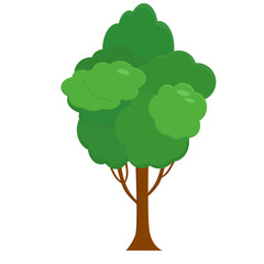 Flat style tree. Simple silhouettes of plants