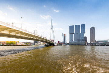 Naklejka premium Skyline of Rotterdam with Erasmus Bridge, Netherlands