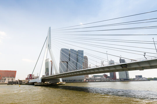 Skyline of Rotterdam with Erasmus Bridge, Netherlands