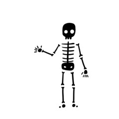 Skeleton. Black terrible silhouette. Human body. Skull and bones.