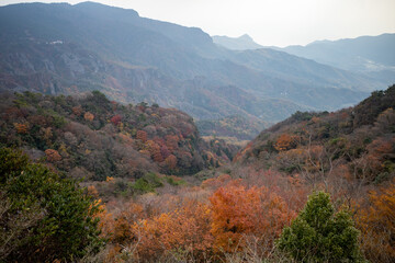 日本の小豆島の美しい秋の風景