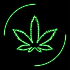 Marijuana neon sign, modern glowing banner design, colorful modern design trends. Vector illustration.