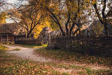 autumn in the park