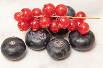Delicious berries: brush red currant a bluberries on grey background