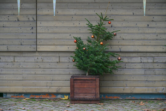 Slanted fir tree with remaining decoration stands abandoned in front of a closed booth at the Christmas market, cancelled event due to coronavirus pandemic, copy space