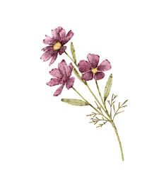 bouquet of delicate watercolor burgundy flowers, hand painted