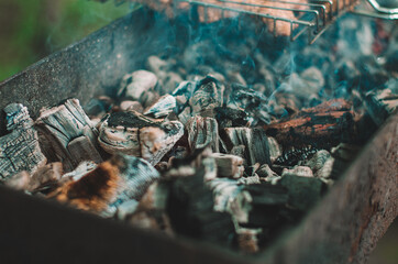 barbecue on the grill