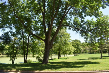 The Lovely Hemenway Park in New Richmond, Wisconsin