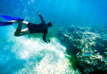 free Diver at Bávaro, Punta Cana, Dominican Republic. Bar jack fishes