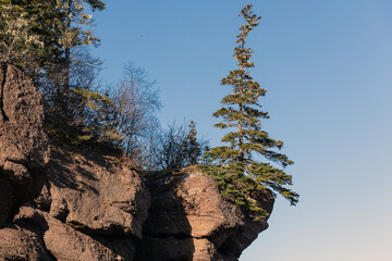 The Hopewell Rocks, also called the Flowerpots Rocks or simply The Rocks, are rock formations caused by tidal erosion in The Hopewell Rocks Ocean Tidal Exploration Site in New Brunswick. 