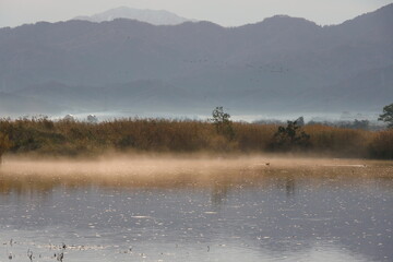 朝霧の湖に差す朝日