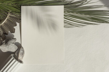 White Paper Sheet Palm Leaf Eco Branding Neutral Photo Mockup Natural Botanical Shadow