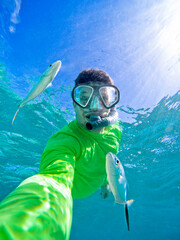 Diver wearing green shirt, among fishes bar jack, in the Caribbean sea of ​​Bávaro beach,...
