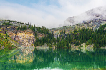 Fototapeta na wymiar Shoreline Trail in the Alpine area of Lake O'Hara in the Canadian Rockies of Yoho National Park