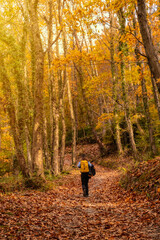 A young woman on a path of trees towards Mount Erlaitz in autumn in the town of Irun, Gipuzkoa. Basque Country