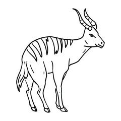 Antelope bongo in doodle style. Isolated vector.