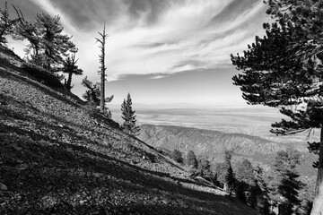 Black and white view of the Mojave desert from the Mt Baden-Powell trail in the San Gabriel Mountains area of Los Angeles County, California.  