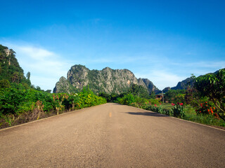 The  empty rural countryside road between the green trees and flowers on the side. The way heading to little stone mountain on blue sky background on a sunny day.
