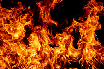 Obraz na płótnie Canvas Fire flame. Burn lights on a black background.