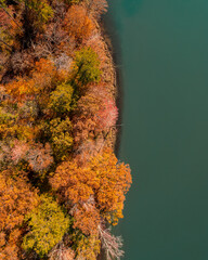 aerial fall colors from drone