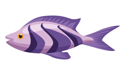lilac exotic fish