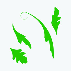 Collection tropical leaf vector element.