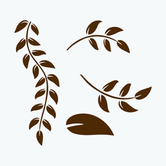 Collection tropical leaf vector element.