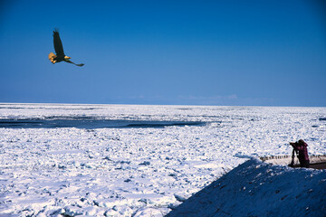 オホーツク海の流氷と鷲合成 © san724