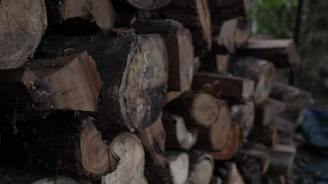 Firewood pile in a backyard