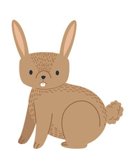 Obraz premium cute little rabbit