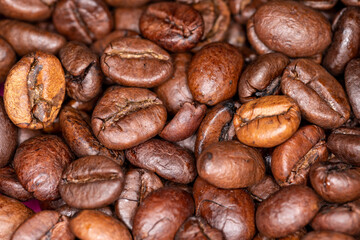 Brown coffee bean background. Macro close up.