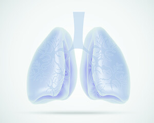 Human Lungs icon on white background. Internal organs of human.