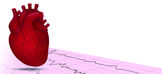 Human heart with heart rate illustration on white background. For cardiology clinic. Medical background.