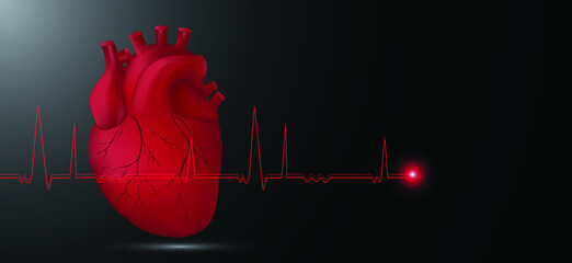 Human heart with heart rate on black background. Organ symbol. for cardiology clinic.