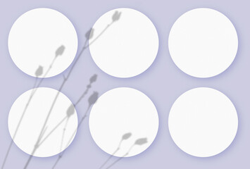 Mockup with vegetable shadows superimposed on 6 round sheets of textured white paper on a violet table background