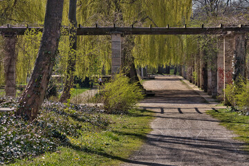 Pergola im Park, Palmengarten Leipzig Sachsen, sonnig