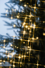 Lights in the shape of stars on a Christmas tree.