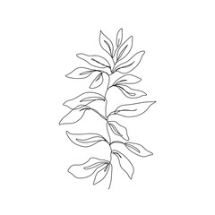 Leaves Branch Line Art Drawing. Leaves Line Drawing Illustration. Botanical Print Minimalist Style. Vector EPS 10