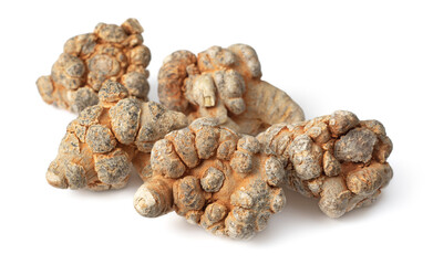 Dried herb, notoginseng roots isolated on white background