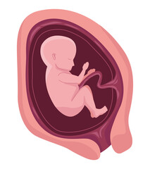 fetus with five months