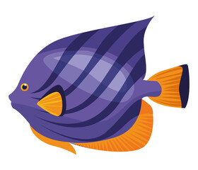 surgeon fish pruple