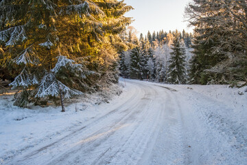 Obraz premium Slippery winter road in the woods at a curve