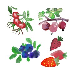 Set of berries clipart, hand drown sketch