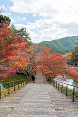 Colorful autumn leaves in Entsuji temple in Tamba, Hyogo, Japan