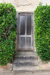 Fototapeta na wymiar une vieille porte en bois au milieu d'une haie d'arbustes. Une ancienne entrée de maison avec des haies d'arbustes verts