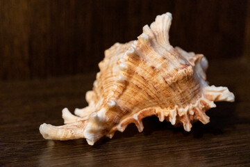 Figurines from the exhibition