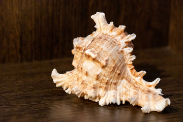 Figurines from the exhibition