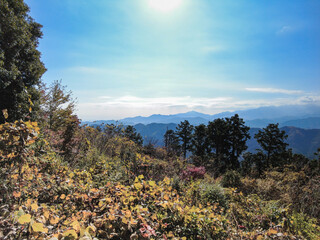 高尾山の紅葉　【日本の秋】紅葉　Japanese autumn leaves